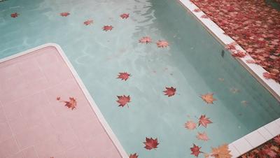 The primary subject of the image is a swimming pool filled with water. The pool is adorned with a variety of leaves floating on the surface, creating a visually appealing and natural atmosphere. The leaves are scattered throughout the pool, with some closer to the edges and others more centrally located. The overall mood of the image is serene and inviting, as the leaves add a touch of nature to the man-made environment.