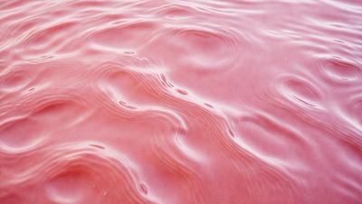 The primary subject of the image is a red liquid, which appears to be a mixture of water and blood. The setting is a body of water, possibly a lake or a river, with the red liquid flowing through it. The visual style of the image is a close-up of the red liquid, showcasing its unique color and texture. The dominant colors in the image are red and pink, creating a striking and intense atmosphere.
