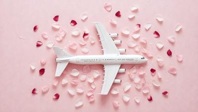 The primary subject of the image is a large white airplane with pink petals surrounding it. The airplane is positioned in the center of the scene, and the pink petals are scattered all around it, creating a visually appealing and unique backdrop. The visual style of the image is a combination of photo and digital art, giving it a realistic yet artistic appearance. The colors and mood of the image are predominantly pink, which adds a sense of warmth and romance to the scene.