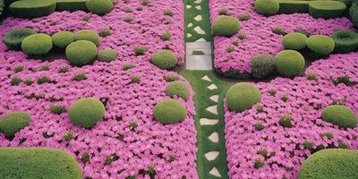 The primary subject of the image is a beautiful garden with a pathway between two large bushes. The setting is a lush, pink flower garden with a variety of flowers and greenery. The visual style is a realistic, natural scene, with the flowers and bushes appearing as real elements in the garden. The colors and mood of the image are predominantly pink, creating a warm and inviting atmosphere.