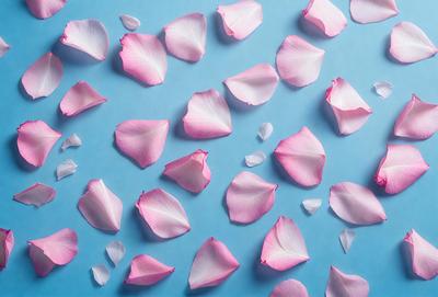 The primary subject of the image is a close-up of a pink flower. The setting is a blue background, which creates a contrasting and visually appealing effect. The visual style is a photo, capturing the beauty of the flower in detail. The colors and mood of the image are predominantly pink, which adds a sense of warmth and elegance to the scene.