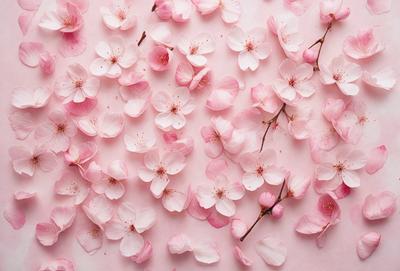 The primary subject of the image is a close-up of a pink flower. The setting is a pink background, which creates a visually appealing contrast with the flower. The visual style is a photo, capturing the beauty of the flower in detail. The dominant colors are pink, which creates a warm and inviting atmosphere.