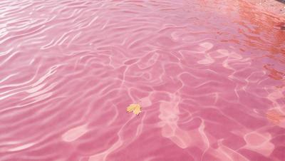 The primary subject of the image is a leaf floating on a pink, red, or purple body of water. The leaf appears to be a yellow color, contrasting with the vibrant hue of the water. The setting is a body of water, possibly a lake or a pond, with a calm and serene atmosphere. The visual style of the image is a combination of photo and digital art, creating a unique and eye-catching scene. The colors and mood of the image are predominantly warm and inv