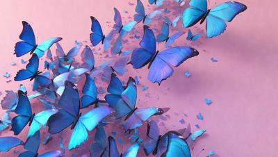 The primary subject of the image is a group of blue butterflies flying in the air. The setting is a pink background, which adds a contrasting color to the scene. The visual style appears to be a digital art or illustration, as the butterflies are depicted in a realistic manner. The colors and mood of the image are predominantly blue, creating a serene and calming atmosphere.