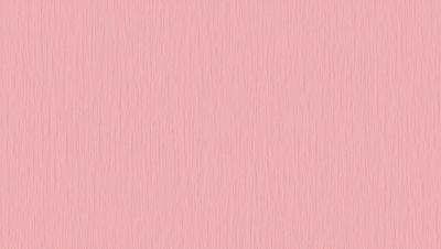 The primary subject of the image is a pink wall. The setting is a room with a pink wall, and the visual style is a close-up of the wall. The colors and mood of the image are predominantly pink, creating a warm and inviting atmosphere.