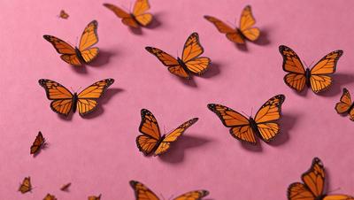 The primary subject of the image is a group of butterflies. There are nine butterflies in total, each with different colors and patterns. They are arranged on a pink surface, which serves as the setting or background. The visual style of the image is a combination of photo and digital art, creating a realistic and vibrant representation of the butterflies. The colors and mood of the image are predominantly warm and cheerful, with the pink surface adding a touch of softness and warm