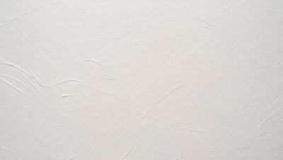 The image features a white wall with a pattern of wrinkles and folds. The wall appears to be made of a material that resembles a canvas or a textured surface. The primary subject of the image is the white wall, which serves as the main object, scene, or focus of the image. The setting or background is the wall itself, and the visual style is a close-up view of the wall. The colors and mood of the image are predominantly white, giving it a clean and minimalist appearance.