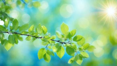 The primary subject of the image is a close-up of a leafy green tree branch. The setting is a bright, sunny day with a blue sky in the background. The visual style is a natural, realistic representation of the tree branch. The colors and mood are lively and vibrant, with the green leaves and blue sky creating a sense of freshness and tranquility.
