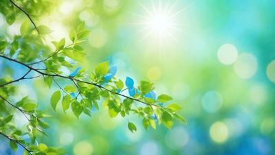 The primary subject of the image is a close-up of a leafy green tree branch. The setting is a bright, sunny day, with the sunlight shining through the leaves. The visual style is a natural, outdoor scene, with the colors and mood being lively and vibrant.