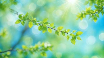 The primary subject of the image is a green tree branch with leaves. The setting is a bright, sunny day, and the visual style is a close-up of the tree branch. The colors are predominantly green, and the overall atmosphere is lively and vibrant.