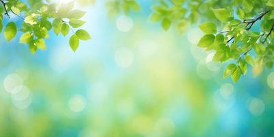 The primary subject of the image is a bright, sunny, and lush green environment. The setting is a field with green leaves and a blue sky in the background. The visual style is a combination of a photo and digital art, creating a vibrant and colorful scene. The dominant colors are green and blue, giving the image a fresh and natural atmosphere.