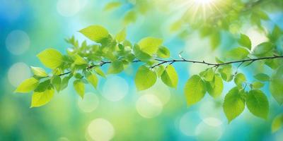 The primary subject of the image is a leafy green tree branch with green leaves. The setting is a bright, sunny day, and the visual style is a close-up of the tree branch. The colors and mood of the image are vibrant and lively, with the green leaves and sunlight creating a sense of freshness and vitality.