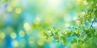 The primary subject of the image is a close-up of a leaf, which is the main object in the scene. The leaf is green and appears to be in a bright, sunny environment. The setting is a lush green background, which adds to the overall atmosphere of the image. The visual style of the image is a photo, capturing the leaf in its natural surroundings. The colors and mood of the image are bright, vibrant, and serene, with the green leaf being the focal point of the