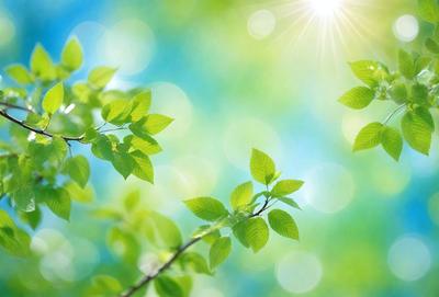 The primary subject of the image is a close-up of a leafy green tree branch. The setting is a bright, sunny day with a blue sky in the background. The visual style is a natural, outdoor scene. The colors are predominantly green, with some blue and white from the sky. The overall atmosphere is lively and vibrant, as the sunlight illuminates the tree branch and its surrounding environment.