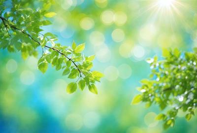 The primary subject of the image is a leafy green tree branch with leaves. The setting is a bright, sunny day, and the visual style is a natural, outdoor scene. The colors and mood are lively and vibrant, with the green leaves and sunlight creating a refreshing atmosphere.