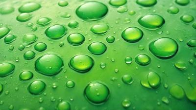 The primary subject of the image is a close-up of a green surface, possibly a piece of fabric or a wall, with numerous small green bubbles or droplets covering it. The setting appears to be a room or an outdoor space, as the green surface is the main focus of the image. The visual style is a close-up, which emphasizes the details of the green bubbles. The colors and mood of the image are predominantly green, creating a calm and soothing atmosphere.