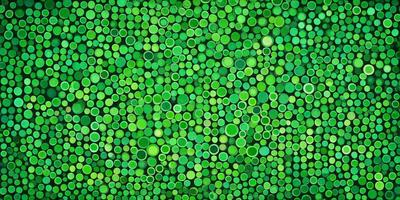 The primary subject of the image is a large, vibrant green background with a pattern of green circles. The setting appears to be a lush, green environment, possibly a forest or a garden. The visual style of the image is a combination of a photo and a digital art, as it features a close-up of the green circles, which gives it a unique and artistic appearance. The dominant colors in the image are green, creating a fresh and lively atmosphere.