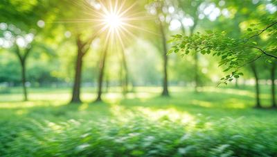 Primary subject: A bright sun shining through the trees in a lush green forest.

Setting/background: The sunlight is shining through the trees, creating a serene and peaceful atmosphere.

Visual style: The image is a photo of the sunlight shining through the trees.

Colors and mood: The dominant colors are green from the trees and yellow from the sunlight. The overall atmosphere is calm and tranquil.