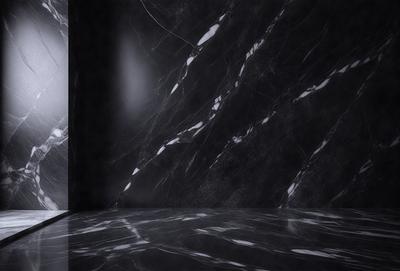 The primary subject of the image is a marble wall with a black background. The setting is a room with a black wall, and the visual style is a photo. The colors and mood of the image are predominantly black and white, giving it a classic and elegant appearance.
