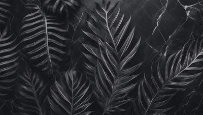 The primary subject of the image is a close-up of a leafy plant with a black background. The plant is surrounded by other leaves, creating a visually appealing composition. The setting appears to be a dark room, possibly a studio or a room with a black countertop. The visual style of the image is a close-up of the plant, emphasizing its details and textures. The colors in the image are predominantly black, giving the scene a moody and dramatic atmosphere.