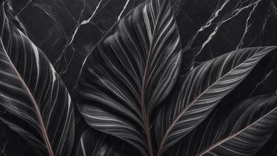 The primary subject of the image is a large, dark green leaf with a black and white pattern. The leaf is prominently displayed in the foreground, covering a significant portion of the image. The setting is a black and white background, which adds to the overall visual style of the image. The colors and mood of the image are predominantly dark and moody, with the black and white pattern of the leaf creating a striking contrast against the dark background.