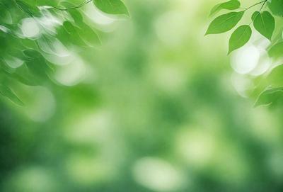 The primary subject of the image is a leafy green tree. The setting is a forest, with the tree surrounded by other trees. The visual style is a photo, capturing the natural beauty of the forest. The dominant colors are green, which creates a calm and serene atmosphere.