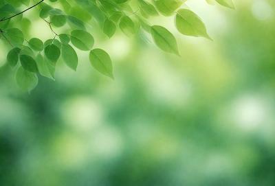 The primary subject of the image is a leafy green tree with a bright green background. The visual style is a photo, and the colors and mood are lively and vibrant.
