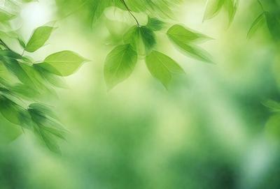 The primary subject of the image is a leafy green tree with green leaves. The setting is a lush green forest, and the visual style is a painting. The colors and mood of the image are predominantly green, creating a serene and natural atmosphere.