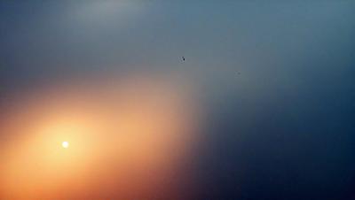 The primary subject of the image is a bird flying in the sky. The bird is positioned in the middle of the scene, with its wings spread out. The setting is a cloudy sky, which adds a dramatic and moody atmosphere to the image. The visual style is a photo, capturing the bird in its natural environment. The colors in the image are predominantly shades of gray and blue, reflecting the cloudy sky and the bird's silhouette.