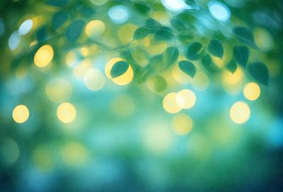 The primary subject of the image is a leafy tree with green leaves. The setting is a forest, and the visual style is a photo. The dominant colors are green and yellow, creating a lively and natural atmosphere.