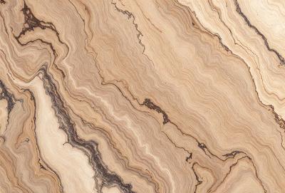 The primary subject of the image is a close-up of a wooden surface, possibly a table or a piece of wood. The setting is a natural environment, with the wooden surface being the main focus. The visual style appears to be a close-up of the wooden surface, possibly a photo or a digital art piece. The colors and mood of the image are predominantly earthy tones, giving it a natural and organic feel.