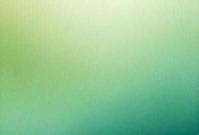 The primary subject of the image is a large, bright green wall. The setting is a room with a green background, which creates a vibrant and lively atmosphere. The visual style is a close-up of the green wall, showcasing its vivid color and texture. The colors and mood of the image are predominantly green, giving it a fresh and inviting appearance.