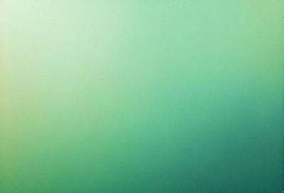 The primary subject of the image is a large, bright green wall. The setting is a room with a green background, which creates a vibrant and lively atmosphere. The visual style is a close-up of the green wall, showcasing its vivid color and texture. The colors and mood of the image are predominantly green, giving it a fresh and inviting appearance.