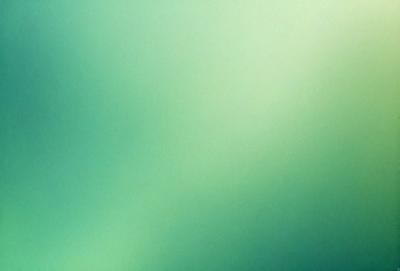 The primary subject of the image is a green background. The setting is a bright green wall, which serves as the backdrop for the scene. The visual style of the image is a photo, capturing the vibrant green color. The colors and mood of the image are predominantly green, creating a calm and serene atmosphere.
