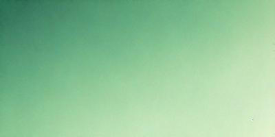 The primary subject of the image is a large, empty, and bright green wall. The setting is a room with a green background, and the visual style is a photo. The colors and mood of the image are predominantly green, creating a calm and serene atmosphere.