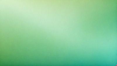The primary subject of the image is a large, bright green wall. The setting is a room with a green background, and the visual style is a photo. The dominant colors are green, and the overall atmosphere is vibrant and lively.
