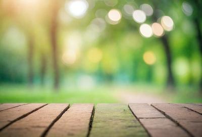 The primary subject of the image is a wooden bench situated in a park. The setting is a lush green park with trees and grass surrounding the bench. The visual style is a photo, capturing the natural environment and the wooden bench. The colors and mood of the image are predominantly green, with the grass and trees creating a serene and peaceful atmosphere.