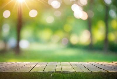 The primary subject of the image is a wooden bench situated in a grassy field. The setting is a lush green park with trees in the background. The visual style is a photo, capturing the natural environment and the wooden bench. The colors and mood of the image are predominantly green, with a serene and peaceful atmosphere.