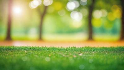 The image features a lush green field with a few trees in the background. The primary subject is the grassy area, which appears to be a park or a well-maintained lawn. The setting is outdoors, with the trees providing a natural backdrop. The visual style is a photo, capturing the vibrant colors and the serene atmosphere of the scene.