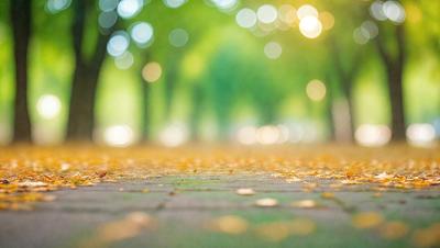 The primary subject of the image is a tree-lined path with a brick surface. The setting is a park or a similar outdoor environment. The visual style is a photo, capturing the natural beauty of the scene. The dominant colors are shades of green, representing the trees and the overall atmosphere of the image.