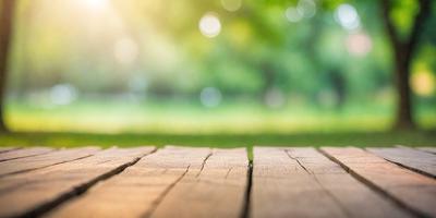 The primary subject of the image is a wooden plank or board, which is the main focus of the scene. The setting is a grassy field, with trees in the background. The visual style is a photo, capturing the natural environment and the wooden plank. The colors and mood of the image are predominantly green, with the grass and trees, and the wooden plank adding a warm, natural tone to the scene.