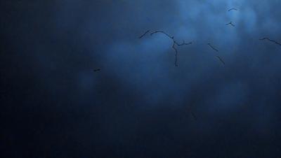 The primary subject of the image is a cloudy sky with a few birds flying through it. The setting is an open sky, and the visual style appears to be a photo. The colors in the image are predominantly dark and moody, with the cloudy sky and the silhouettes of the birds creating a dramatic atmosphere.