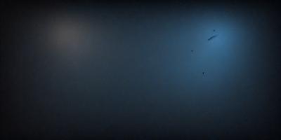 The primary subject of the image is a bird flying in the sky. The bird is positioned towards the right side of the image. The setting is a dark, cloudy sky, which creates a moody atmosphere. The visual style appears to be a photo, capturing the bird in flight. The colors in the image are predominantly dark, with the bird being the only bright spot in the scene.