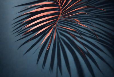 The primary subject of the image is a large, red and green palm leaf. The leaf is prominently displayed in the foreground, with its vibrant colors creating a striking contrast against the dark blue background. The visual style of the image is a close-up of the palm leaf, emphasizing its unique texture and pattern. The overall atmosphere of the image is lively and tropical, with the vibrant colors and intricate patterns of the palm leaf capturing the viewer's attention.