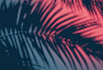 The primary subject of the image is a close-up of a palm tree. The setting is a dark background, which creates a dramatic contrast with the palm tree. The visual style is a digital art or illustration, as the palm tree appears to be a stylized or manipulated image. The dominant colors are red and blue, which contribute to the overall mood of the image.