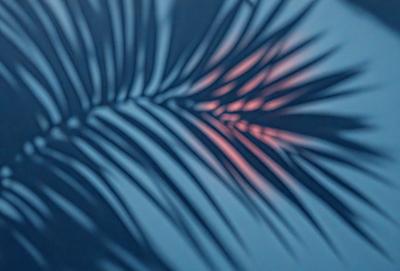 The primary subject of the image is a palm tree with a pink sunset in the background. The tree is casting a shadow on the ground, creating a serene and peaceful atmosphere. The visual style of the image is a photo, capturing the natural beauty of the palm tree and the warm hues of the sunset. The colors and mood of the image are predominantly pink and calming, evoking a sense of tranquility and relaxation.