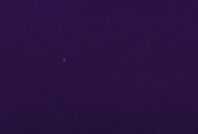 The image is a purple night sky with a few stars visible. The primary subject is the night sky, and the setting is a dark, star-filled background. The visual style is a natural, nighttime scene, and the colors and mood are predominantly purple and dark, creating a serene and peaceful atmosphere.