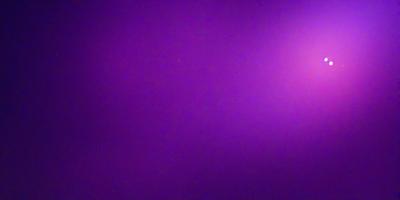 The primary subject of the image is a purple background. The setting is a dark, purple room with a purple wall. The visual style is a purple background with a purple wall, creating a unique and moody atmosphere.