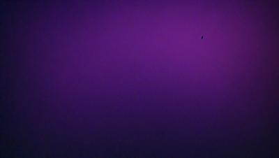The image is a purple background with a black dot in the center. The purple color creates a calm and serene atmosphere. The black dot in the center adds a point of interest and contrast to the otherwise monochromatic scene.