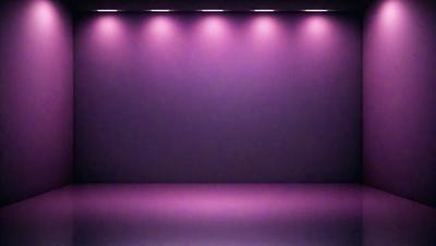 The primary subject of the image is a purple wall with a purple background. The setting is a dark room with a purple stage. The visual style is a photo, and the colors and mood are predominantly purple, creating a moody and dramatic atmosphere.